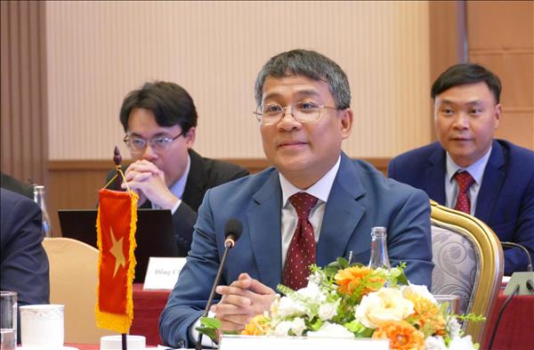 High Seas Treaty opens up unprecedented opportunities for Vietnam: Deputy FM