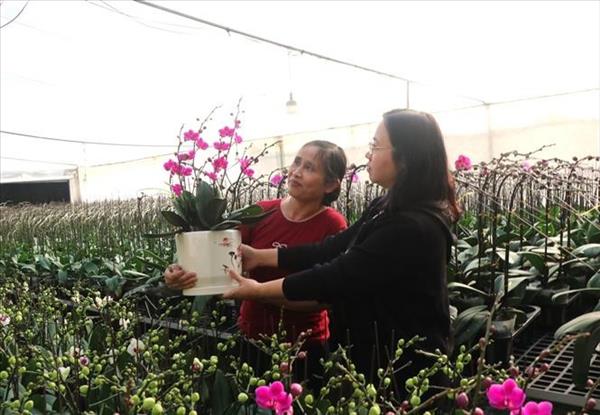 Vietnam poised to ring in 2026, ready to embark on new era of prosperity