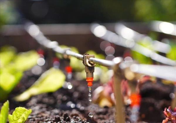 Lirrigation intelligente mise en avant face à la sécheresse croissante