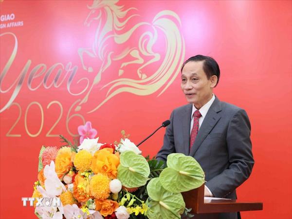 Foreign Minister touts 2025 diplomatic wins, maps out ambitious agenda