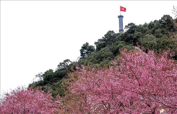 ‘베트남 땅의 봄길 2026-회동 특별 예술 프로그램...베트남 전국의 3지점과 남수단 파병지 연결