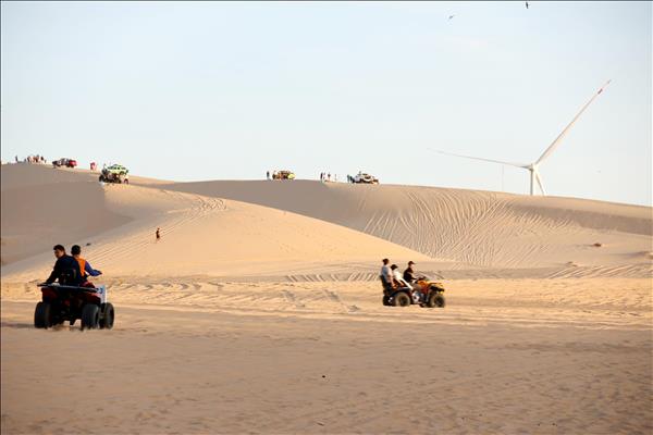 Đồi cát trắng, hoa keo lá tràm tại Lâm Đồng hút khách trong kỳ nghỉ Tết Dương lịch