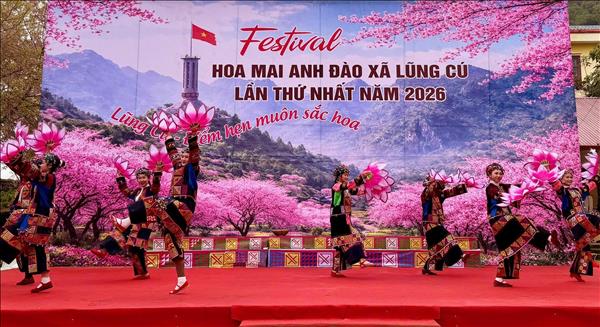 베트남 최북단서 제1차 히말라야 벚꽃 페스티벌 개막