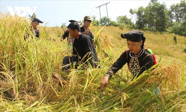 ល្បឿននៃការបន្ថយភាពក្រីក្រគឺជាសញ្ញាសម្គាល់លេចធ្លោមួយរបស់វៀតណាមក្នុងដំណាក់កាល ២០២១-២០២៥