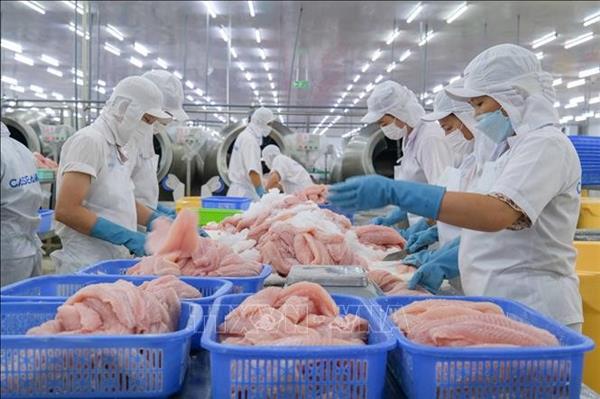 Seafood sector targets 11.5 billion USD in exports in 2026