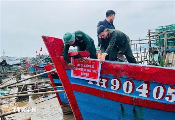 Quang Ninh impulsa gestión pesquera digital para superar tarjeta amarilla de la CE