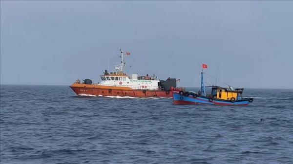 Quang Tri tightens control of vessels to prevent IUU fishing