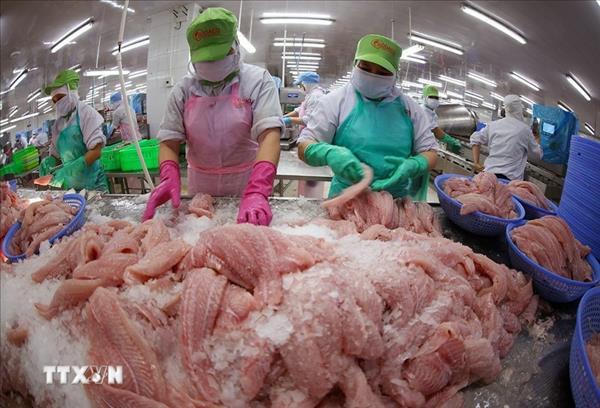 Produits halieutiques : le Vietnam vise 11,5 milliards de dollars dexportations en 2026