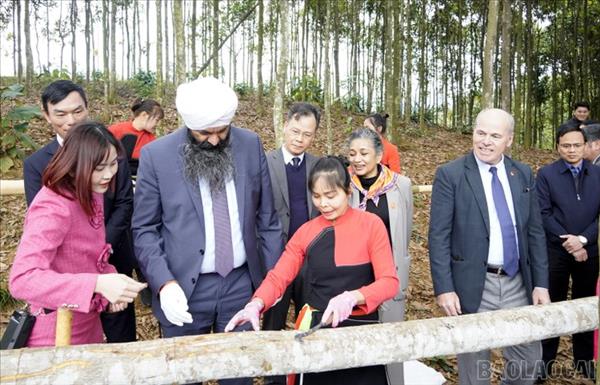 カナダ、ベトナムにおける開発プロジェクト向けに5850万米ドルの支援を発表