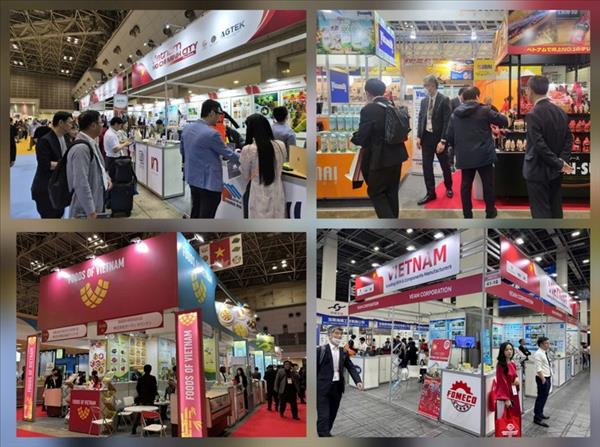 ベトナムと日本の貿易額、初めて500億米ドルを突破