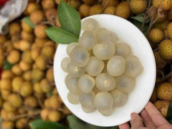 흥옌, 닌빈, 응에안: 5가지 유산 국가 무형문화유산 목록 지정 공표