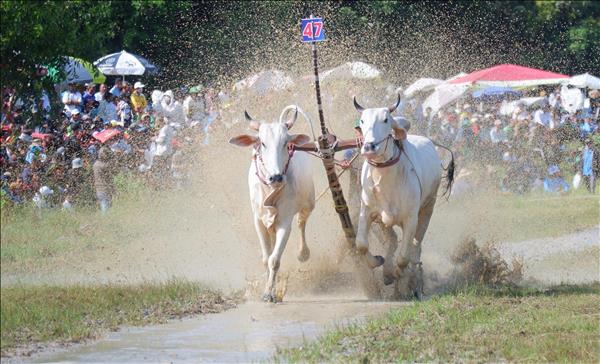An Giang: Phát huy các giá trị di sản văn hóa, phát triển kinh tế di sản