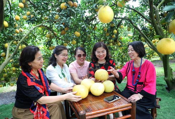 ប្តូរមុខមាត់ថ្មីទេសចរណ៍រដូវផ្លែឈើទុំ