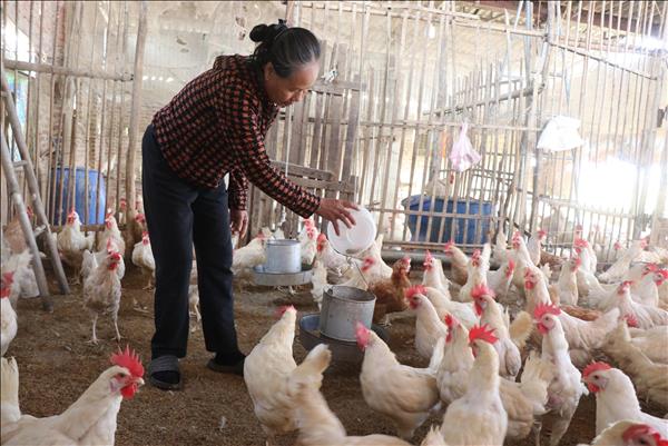 Thắp sáng niềm tin, kỳ vọng vào tương lai tươi sáng