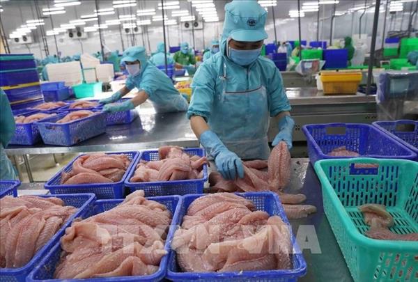 Вьетнам зафиксировал наибольший торговый профицит с Нидерландами среди европейских партнеров