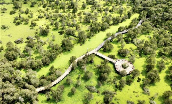 안장성 짜스 멜라루카 숲 탐방