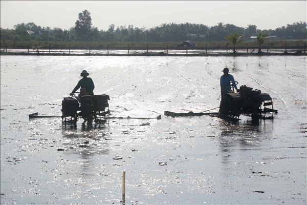 Cần Thơ hoàn thiện phân định vùng đồng bào dân tộc thiểu số theo mô hình chính quyền địa phương 2 cấp