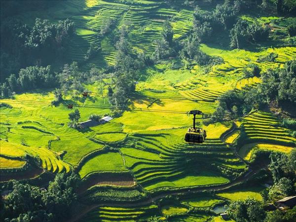 Sa Pa được chọn là điểm đến lý tưởng cho người tuổi Sửu năm 2026 