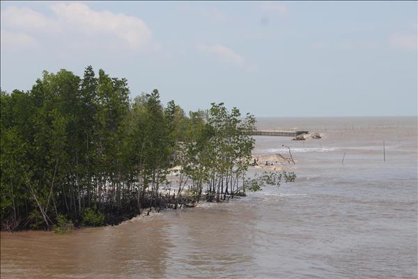 Ca Mau strives to put coastal, riverbank erosion under control by 2030