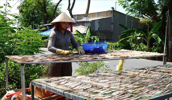 Ingreso promedio per cápita de Vietnam aumenta un 9,3%