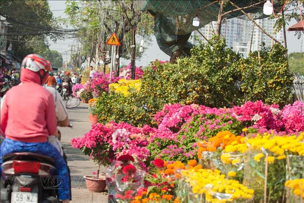 2026 병오년 봄맞아 ‘베트남의 설, 거리의 설 행사, 전통문화 활동 다채롭게 펼쳐져