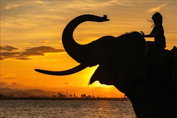 Туризм Вьетнама принимает стратегию многоценностного развития до 2030 года