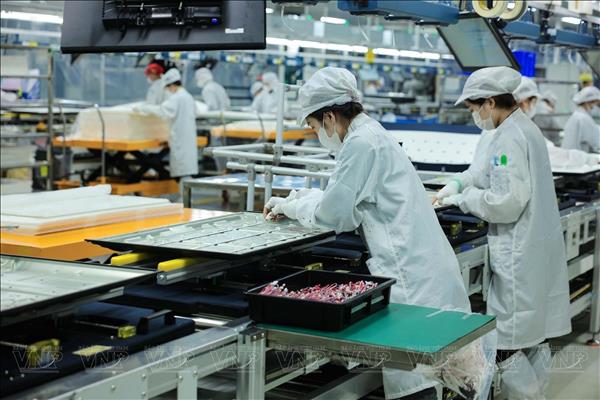 Vietnams outbound investment exceeds 1.36 billion USD in 2025