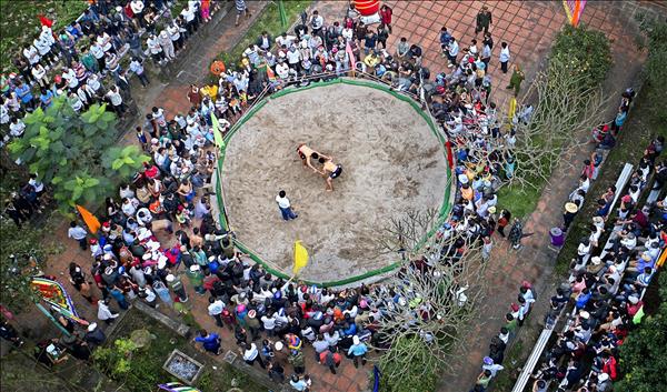Hội vật Thủ Lễ: Nét đẹp và tinh thần thượng võ xứ Huế