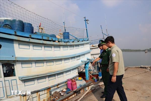 Lutte contre la pêche INN : Ho Chi Minh-Ville achève les missions confiées