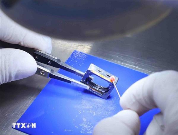 Vietnam emerges as typical case of Asias FDI success