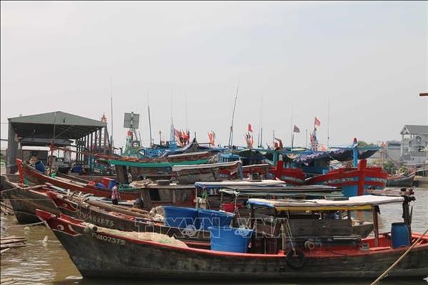 IUU combat: Vinh Long tightens fishing port control