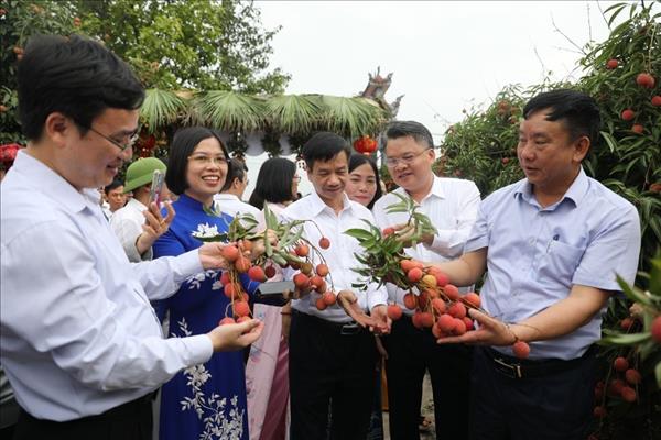 ນັກວິທະຍາສາດ ຜູ້ມີສ່ວນຮ່ວມຊຸກຍູ້ໃຫ້ເຄື່ອງໝາຍການຄ້າ ໝາກລີ້ນຈີ່ ບິນໄກໄປທົ່ວໂລກ