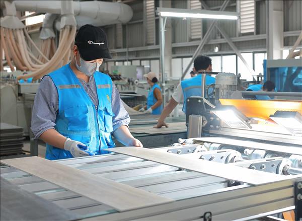 FDI Inflows in 2025 Hit Five-year High