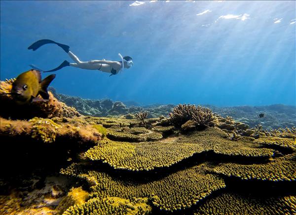 Phú Quý vào danh sách 10 điểm đến đáng khám phá hàng đầu Đông Nam Á năm 2026