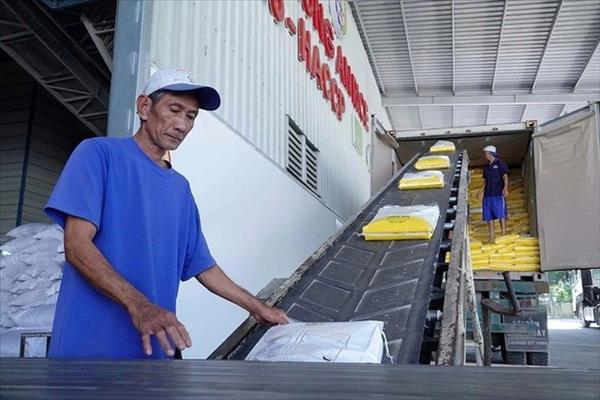 Vietnam reducirá proactivamente las exportaciones de arroz a partir de 2026