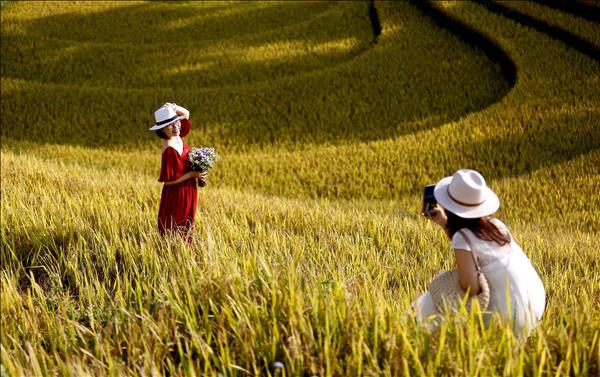 햅쌀 축제, 꽝닌성 국경지대에서 펼쳐지는 황금 들녘의 흥겨운 축제