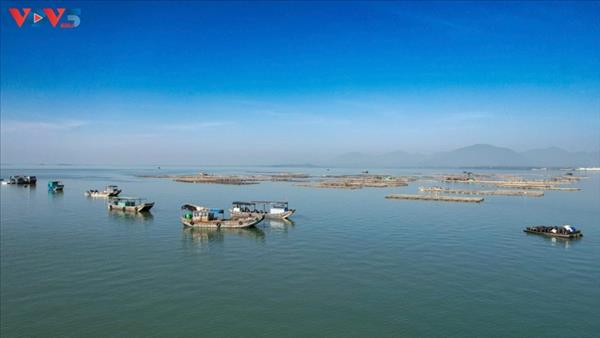 베트남 꽝닌성, 어선 관리 지표 조기 달성…외국 수역 침범 없다