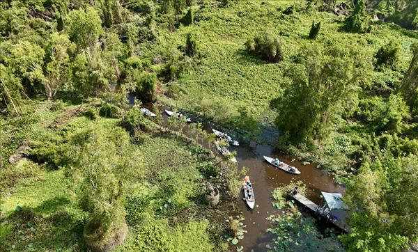 Khám phá rừng tràm đẹp và nổi tiếng nhất Việt Nam