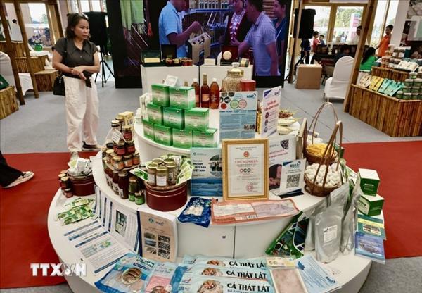Ho Chi Minh City shifts OCOP products toward quality, sustainability after seven years