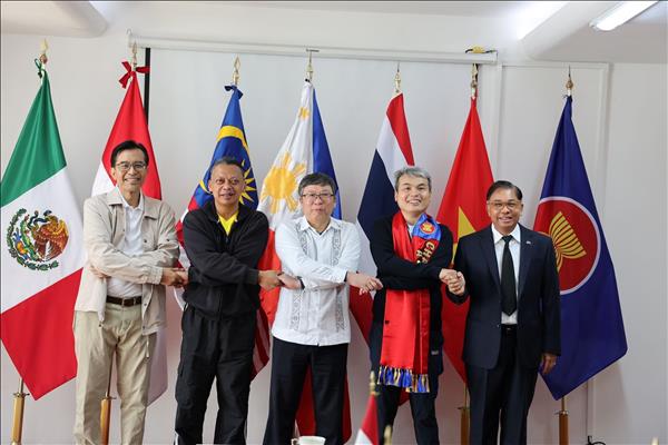 Việt Nam thể hiện tinh thần đoàn kết, trách nhiệm và hợp tác chặt chẽ trong ASEAN