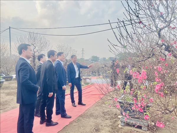 Lễ hội Đào Nhật Tân – Sắc xuân Hồng Hà: Tôn vinh giá trị làng nghề nổi tiếng đất Kinh kỳ