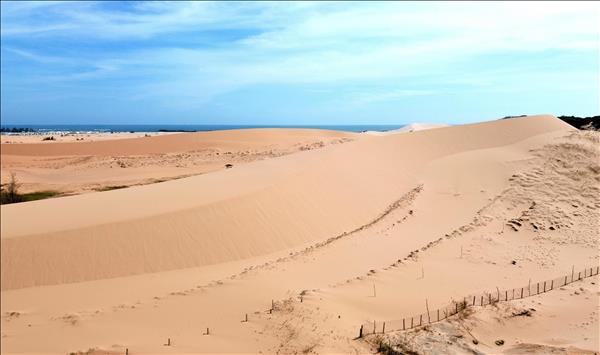 Ninh Thuận: Ưu tiên bảo tồn đa dạng sinh học gắn với phát triển bền vững