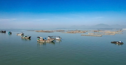 クアンニン省、漁船管理の主要指標を前倒しで達成