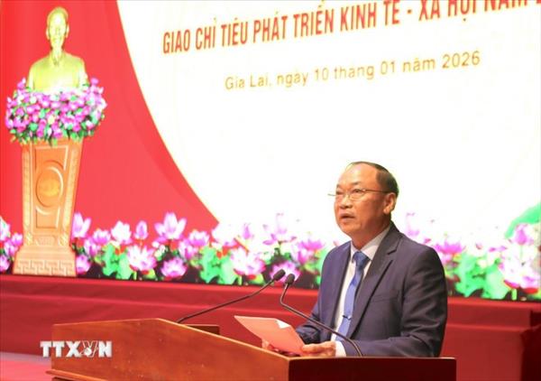 越共十四大：团结一心，凝聚合力推动嘉莱省实现新突破