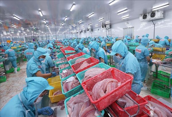 Công ty IDI liên kết sản xuất kết nối trọn vẹn chuỗi giá trị