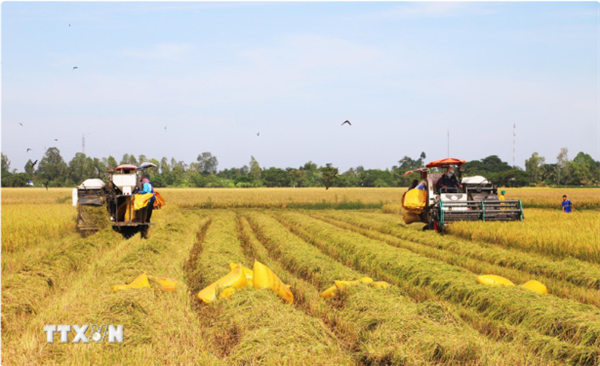 越共十四大：为绿色增长动力奠定新基础