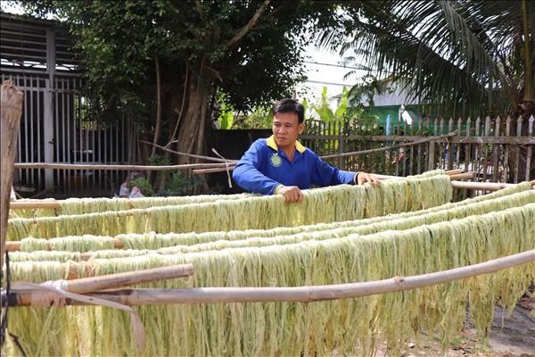 Sản xuất tơ sợi từ lá dứa mở ra giá trị mới cho phụ phẩm nông nghiệp
