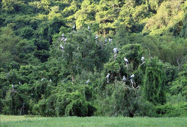 ベトナム：世界観光マップに刻まれる「アイデンティティ豊かな目的地」