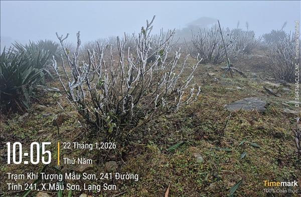 Học sinh mầm non, tiểu học Hà Nội không đến trường học khi nhiệt độ dưới 10°C