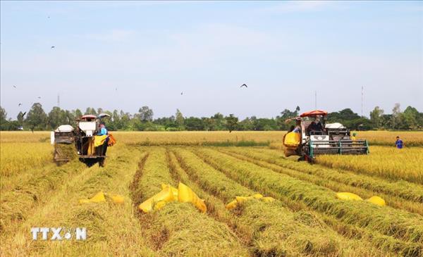 XIV съезд КПВ: новая основа для формирования импульса зелёного роста